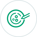 embryologist ivf